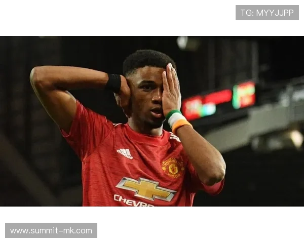 韦阿边锋价值引热议，新动态引爆球迷圈